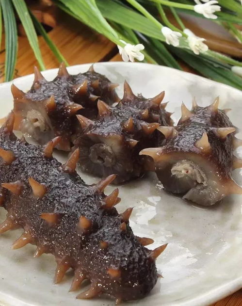 山东海参品牌十大排名榜，山东海参的做法