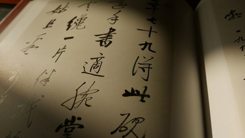 雅俗共赏是什么意思啊歌词，雅俗共赏是什么意思啊 成语