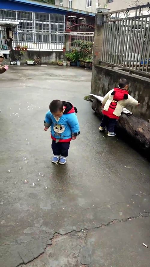 踩的组词大全(约50个) 踩的词语解释_踩是什么意思?