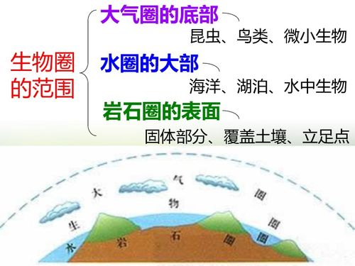 七年级上下册生物思维导图手抄报 三年级上册手抄报