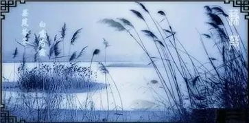 诗经代表作《蒹葭》赏析