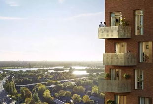 argent翻译，argentina阿根廷