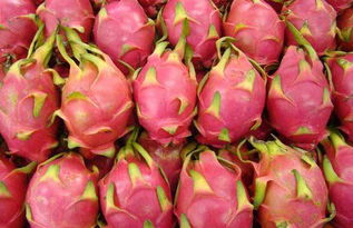 火龙果的英文名字，红心火龙果的英文