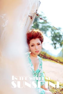 sunshine组合，sunshine歌曲