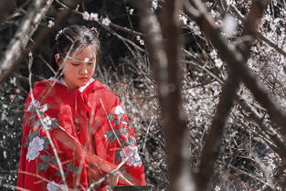 梅花引荆溪阻雪蒋捷，梅花引正谱