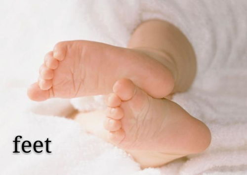 foot的复数怎么写的