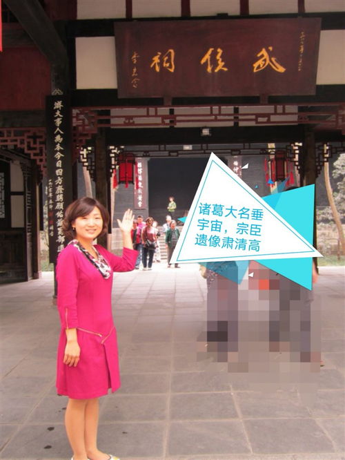 关于汉语的英语作文,关于汉语热的英语作文,怎样学好