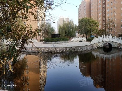 文竹苑南苑，文竹苑二手房