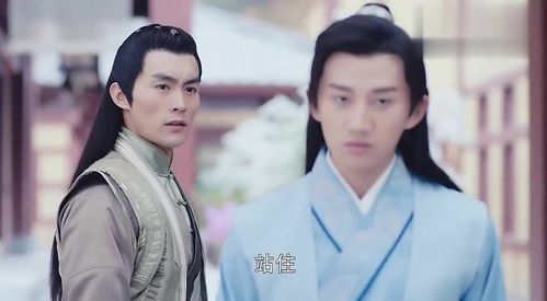 嫡出和庶出怎么读，嫡出公主和妃子谁大