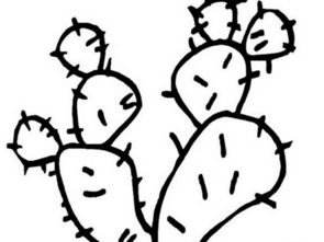 仙人掌简笔画图片大全 可爱，仙人掌简笔画图片大全视频教程