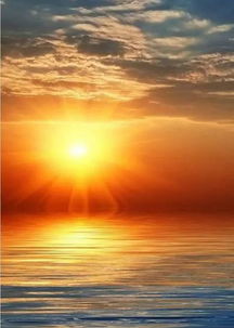 心有阳光,必有远方,心中有暖,未来不远，心有阳光的唯美句子