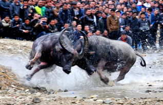 盗墓笔记人物介绍