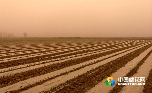新疆阿克苏天气情况，新疆阿克苏天气怎么样
