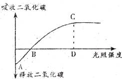 叶片的结构示意图