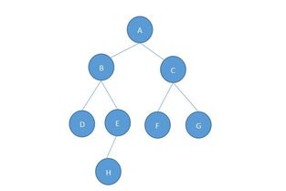 逻辑顺序是什么顺序