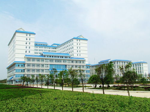 长江工程职业技术学院面积