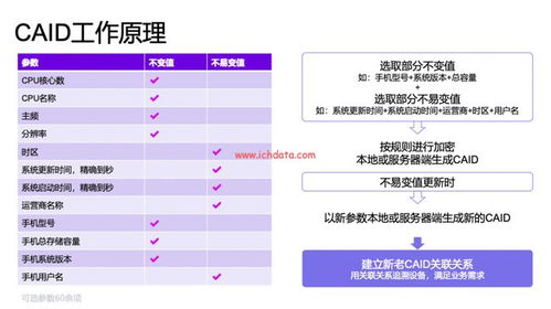 caid是加密卡号吗?