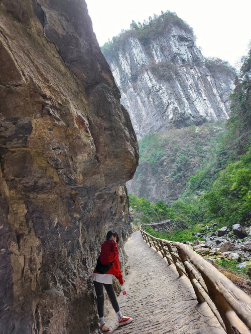 重庆武隆天气预报一周 7天，重庆武隆天气预报3天