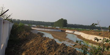 河南寒潮预警来袭,风雨交加,气温跌至2℃,低温天气会持续多久?