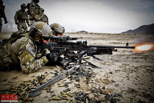 开路先锋是什么意思?，开路先锋打一个正确生肖