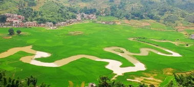 巴马天气40天，巴马天气预报30天准确 一个月