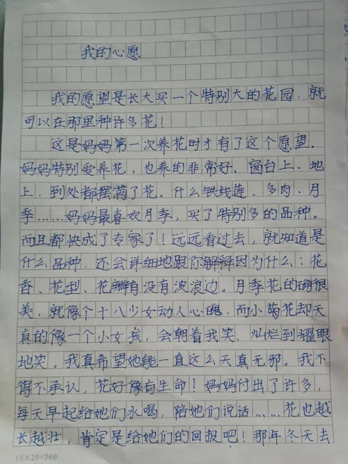 我的花园作文500字，我的花园作文350字