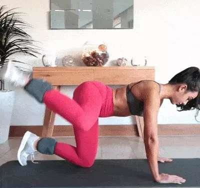 维持屈膝状态,需要哪些肌肉收缩,哪些肌肉舒张?