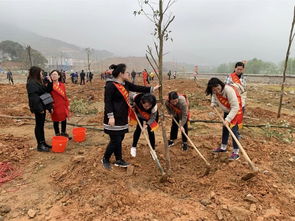 填土是什么意思，填土的填怎么写