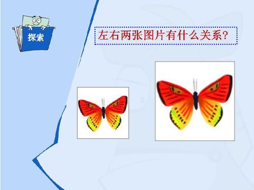 相似图形的性质和判定