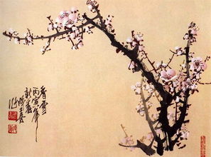 香雪兰种球，香雪兰图片