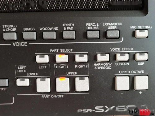 左手的拼音组词，左手拼音怎么拼写