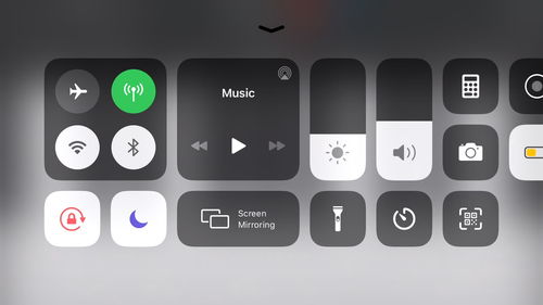 驴拉磨为什么要蒙眼睛?