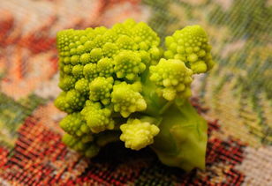 有一种绿色的长得像花椰菜似的菜叫什么?