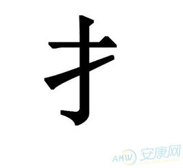 大字头的字有哪些字体，大字头的字有哪些字体图片