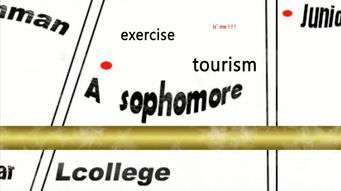 飞是什么结构的字一年级，飞是啥结构的字