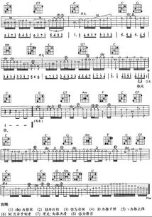 我要你的样子吉他谱