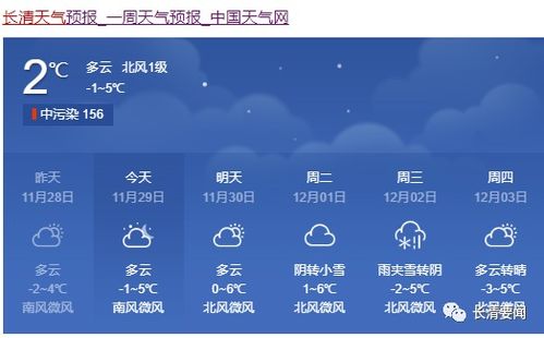 山东天气预报查询