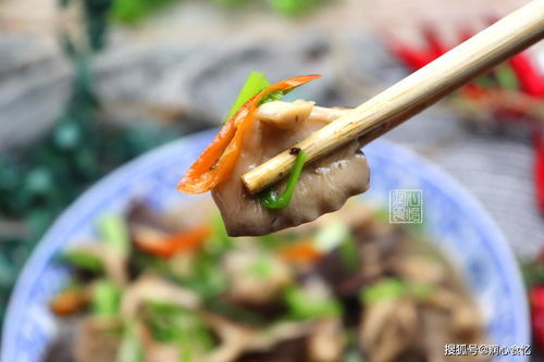 蓬头垢面是什么意思?