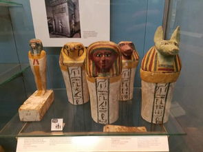 沉睡5000年的冰人奥兹