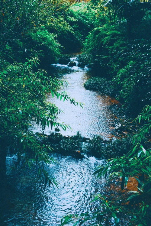 草枯鹰眼疾的下一句欲将轻骑逐的下一句，草枯鹰眼疾后一句