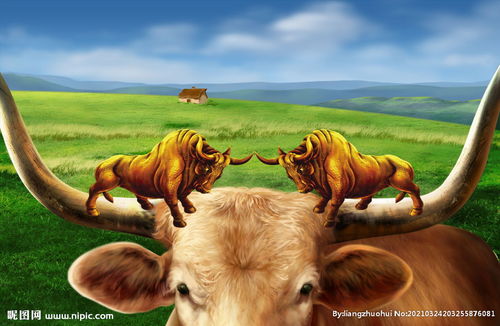 斗牛图戴嵩，斗牛图片高清