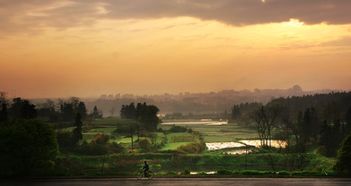 樟树天气预报一周 7天，樟树天气预报15天查询百度