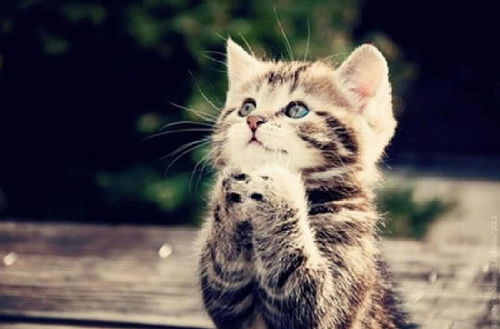 用兴奋怎么造句子