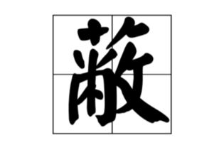 “蔽”什么意思?怎么读?怎么组词?