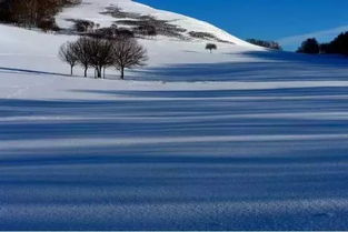 一句诗 草枯()眼疾,雪尽()蹄轻 草枯()眼疾,雪尽()蹄轻 ()中填什么