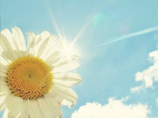 积极向上的画初中作品是什么?