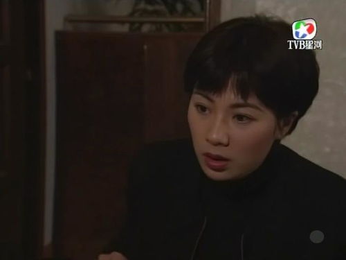 求:TVB <天地男儿.> 所有歌曲..主题曲和片尾曲