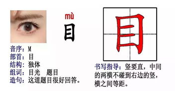 直的部首是什么?