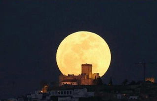 中秋图片手绘插画-初中中秋节的画怎么画(素描、要图)