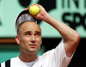 阿加西个人简历，阿加西大满贯数量